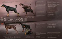 Eastleigh (pink) AKC, a female Doberman Pinscher for sale in Cedar Rapids, IA – Photo 10 of 10