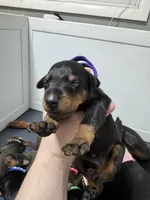 processed/e1bb3543-6a98-4ea7-b2a0-726792b0af48/listing/831ce46c-fb0a-4c72-b59b-d054e50b5741/575de800-91f8-44c4-a46b-2bf430e90b40