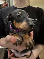 processed/e1bb3543-6a98-4ea7-b2a0-726792b0af48/listing/831ce46c-fb0a-4c72-b59b-d054e50b5741/c1cdd4ec-56b9-4322-a5f9-838857544379