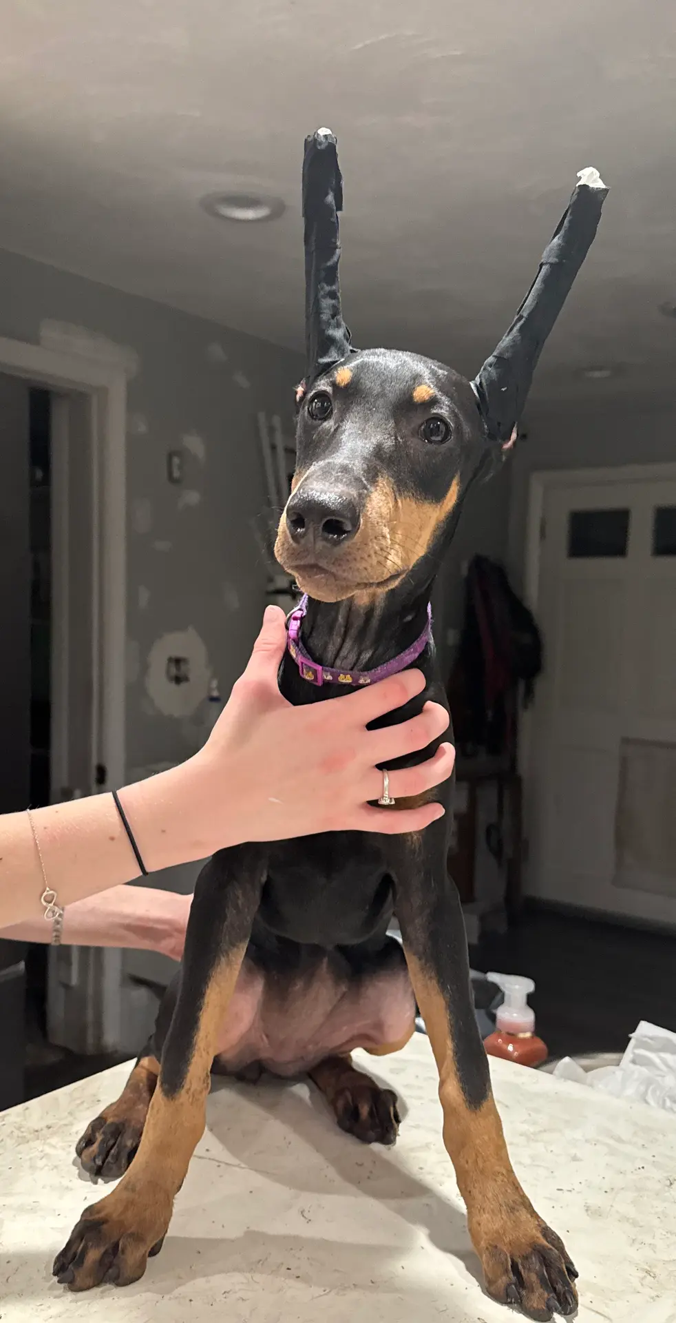 processed/e1bb3543-6a98-4ea7-b2a0-726792b0af48/listing/831ce46c-fb0a-4c72-b59b-d054e50b5741/f4f33c43-c036-44c7-8bdb-8259fcb83117