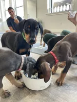 processed/e1bb3543-6a98-4ea7-b2a0-726792b0af48/listing/bfc23060-57a3-4fe4-a4c2-f1b9daef0e61/5d576220-1664-4a33-a546-561af9267e81