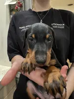 processed/e1bb3543-6a98-4ea7-b2a0-726792b0af48/listing/bfc23060-57a3-4fe4-a4c2-f1b9daef0e61/61f55898-9ca7-491d-87db-4ca9017f6aec