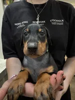 processed/e1bb3543-6a98-4ea7-b2a0-726792b0af48/listing/bfc23060-57a3-4fe4-a4c2-f1b9daef0e61/d57028dd-cd44-45b9-8dac-17d50cf527de