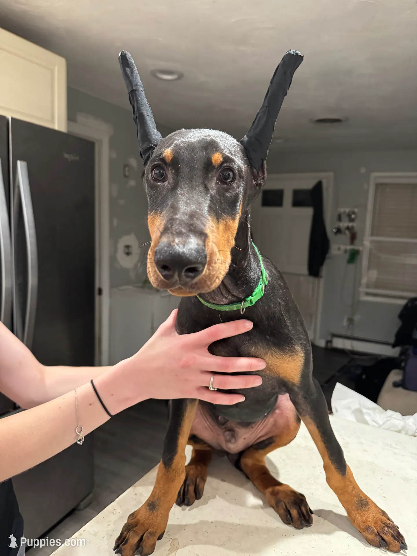 processed/e1bb3543-6a98-4ea7-b2a0-726792b0af48/listing/bfc23060-57a3-4fe4-a4c2-f1b9daef0e61/e37eaa7a-84bd-46b5-8c8f-0a2c85426e37