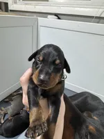 processed/e1bb3543-6a98-4ea7-b2a0-726792b0af48/listing/bfc23060-57a3-4fe4-a4c2-f1b9daef0e61/e3d1fba8-2971-45bf-a6ec-723d03968e09