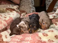 processed/e1c4556a-30e7-4297-8f29-e4bf21f31453/listing/97d1b782-173c-4151-8046-bed6c6d41e08/e334d841-bffb-41da-a32f-52d97b16e86a