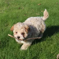 processed/e1c8c97e-e90d-4d74-88a2-4bc4a925e60f/facility/0be50d9b-a4ad-4418-ad7e-435d6a58f744