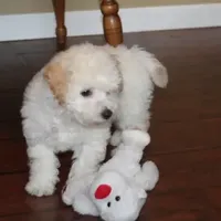 processed/e1c8c97e-e90d-4d74-88a2-4bc4a925e60f/facility/24170ec3-81e6-4f92-a13d-8871c26d297d