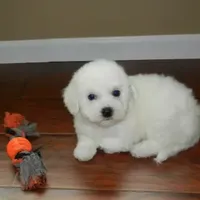 processed/e1c8c97e-e90d-4d74-88a2-4bc4a925e60f/facility/7dadbc93-c8a9-40ce-ad33-32bb35328b71