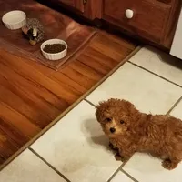 processed/e1c8c97e-e90d-4d74-88a2-4bc4a925e60f/facility/90d66ec7-64de-422a-b10c-0cdf7a302d83