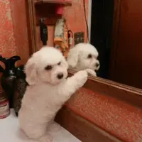 processed/e1c8c97e-e90d-4d74-88a2-4bc4a925e60f/facility/91b70b01-b1ec-4dea-9729-c34172b71fd5