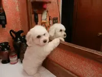 processed/e1c8c97e-e90d-4d74-88a2-4bc4a925e60f/facility/91b70b01-b1ec-4dea-9729-c34172b71fd5