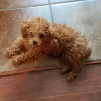 processed/e1c8c97e-e90d-4d74-88a2-4bc4a925e60f/facility/c4fca5af-0447-486a-9dec-3abfb9b6d5eb