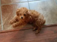 processed/e1c8c97e-e90d-4d74-88a2-4bc4a925e60f/facility/c4fca5af-0447-486a-9dec-3abfb9b6d5eb