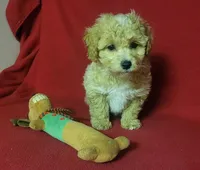 processed/e1c8c97e-e90d-4d74-88a2-4bc4a925e60f/listing/40856f05-ba98-4db4-ab67-8c7b13b7af8d/4f294454-9a54-4f5d-aca8-2e0f0ec568c4