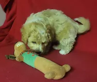 processed/e1c8c97e-e90d-4d74-88a2-4bc4a925e60f/listing/40856f05-ba98-4db4-ab67-8c7b13b7af8d/8e5154e2-4096-40b0-a8c4-e342ed13b470