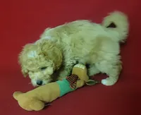 processed/e1c8c97e-e90d-4d74-88a2-4bc4a925e60f/listing/40856f05-ba98-4db4-ab67-8c7b13b7af8d/a9e9ec47-9c28-4d95-ab1c-d59b6e5d70be