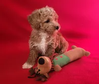 processed/e1c8c97e-e90d-4d74-88a2-4bc4a925e60f/listing/5e9374ee-b352-4637-aef9-b7071b81a74a/26bd8899-aa29-43af-9983-8aff26efe1b8