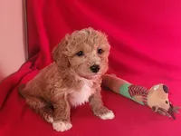 processed/e1c8c97e-e90d-4d74-88a2-4bc4a925e60f/listing/5e9374ee-b352-4637-aef9-b7071b81a74a/5cb3f6fd-b96a-44d9-afd3-a63e46651849