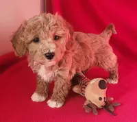 processed/e1c8c97e-e90d-4d74-88a2-4bc4a925e60f/listing/5e9374ee-b352-4637-aef9-b7071b81a74a/98902005-cb85-4c25-8bc8-869bf11741b8