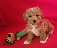 processed/e1c8c97e-e90d-4d74-88a2-4bc4a925e60f/listing/5e9374ee-b352-4637-aef9-b7071b81a74a/a1c61f63-c543-47a6-9fc1-7d907a3a37c9