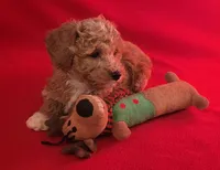 processed/e1c8c97e-e90d-4d74-88a2-4bc4a925e60f/listing/5e9374ee-b352-4637-aef9-b7071b81a74a/e6d4a4e2-83f1-49c0-a107-cc35f8535687