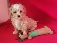 processed/e1c8c97e-e90d-4d74-88a2-4bc4a925e60f/listing/94575223-94ab-4d8f-a4f3-153aaddf3d18/41ac84f0-ce87-4e19-9693-e53b16bdcd6e