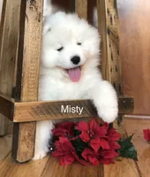 processed/e1cca226-6ce6-456b-8380-6d9f83db163d/listing/083c5da2-2ddb-467b-94f3-ebbda06c51f5/2d43fd8e-8446-4339-be42-111262b3a515