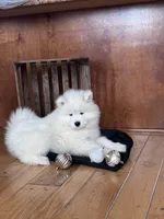 processed/e1cca226-6ce6-456b-8380-6d9f83db163d/listing/083c5da2-2ddb-467b-94f3-ebbda06c51f5/2dfa71b9-0d0b-4c61-822e-c9c62e794c8c