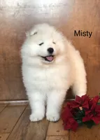 processed/e1cca226-6ce6-456b-8380-6d9f83db163d/listing/083c5da2-2ddb-467b-94f3-ebbda06c51f5/498a3101-dec8-41a1-a6d4-4074b4579b28