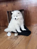 processed/e1cca226-6ce6-456b-8380-6d9f83db163d/listing/083c5da2-2ddb-467b-94f3-ebbda06c51f5/57dd1586-9196-4c0c-871a-dac9f28dd428