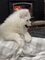 processed/e1cca226-6ce6-456b-8380-6d9f83db163d/listing/083c5da2-2ddb-467b-94f3-ebbda06c51f5/6a88074e-fee6-443c-8880-b0f9d2be2b2d