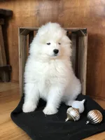 processed/e1cca226-6ce6-456b-8380-6d9f83db163d/listing/b22b4d08-1c5d-4569-ba35-e117c0000695/02b996ec-b3d3-4507-b104-26f80c336762