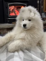 processed/e1cca226-6ce6-456b-8380-6d9f83db163d/listing/b22b4d08-1c5d-4569-ba35-e117c0000695/2afa4a67-278f-4f94-b5e0-1954cdc9d1fb