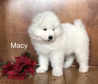 processed/e1cca226-6ce6-456b-8380-6d9f83db163d/listing/b22b4d08-1c5d-4569-ba35-e117c0000695/45b4c4a1-8500-4829-8e47-9f434ed0574a