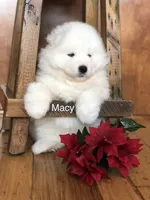 processed/e1cca226-6ce6-456b-8380-6d9f83db163d/listing/b22b4d08-1c5d-4569-ba35-e117c0000695/5c77a9b8-f272-4b09-b366-c1c550128d53