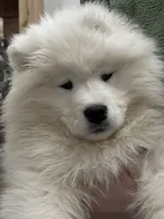 processed/e1cca226-6ce6-456b-8380-6d9f83db163d/listing/b22b4d08-1c5d-4569-ba35-e117c0000695/8cdace9a-3995-4944-b113-b7e5590967b3