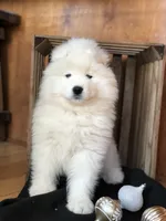 processed/e1cca226-6ce6-456b-8380-6d9f83db163d/listing/b22b4d08-1c5d-4569-ba35-e117c0000695/abf03793-234b-462c-b4bd-10f4216d4ea7