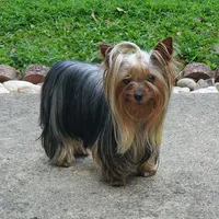 processed/e1d09567-ac19-4625-ab73-a6a5670ca2f1/facility/e93de0f1-e1e5-40b0-9071-cb211a629ee6