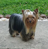 processed/e1d09567-ac19-4625-ab73-a6a5670ca2f1/facility/e93de0f1-e1e5-40b0-9071-cb211a629ee6