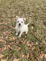 processed/e1d81bbb-9933-4998-963a-2d17f414afaa/listing/8336616c-f98b-4595-90c1-8bfd8877782f/0d962588-60a6-4227-aafe-ffd6b6644593