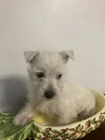 processed/e1d81bbb-9933-4998-963a-2d17f414afaa/listing/90a020f1-4c9f-4f00-ab6e-aa82eab15a89/fa7879c1-e360-400d-9198-1db9ca8fc052