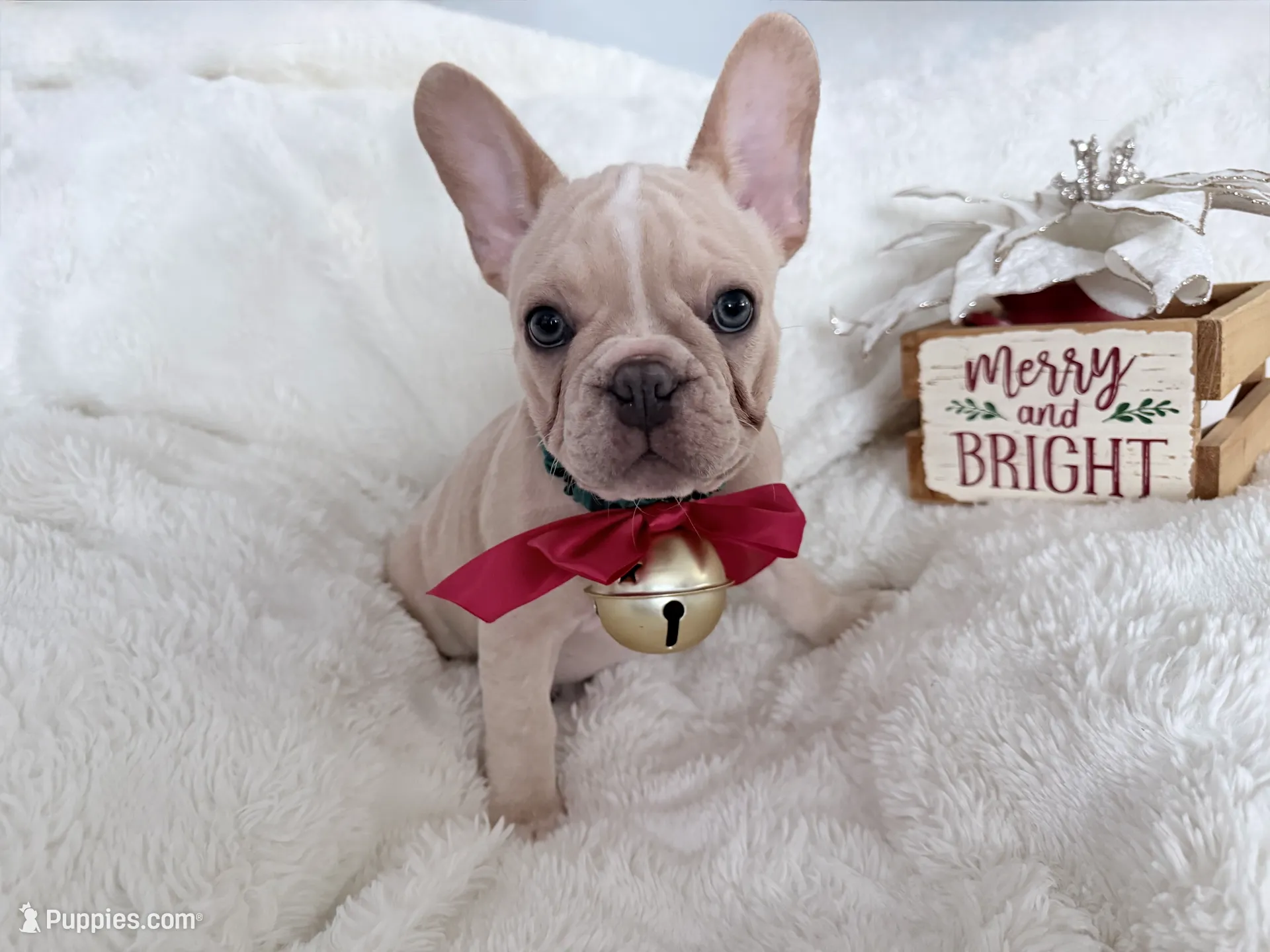 processed/e1d9f656-1e65-4b98-a687-2513c80929d0/listing/4caf592e-dcad-45ed-ac3d-57a04ab35fb2/0fcf7594-5c5e-47fe-a186-19d3bc91a4b1