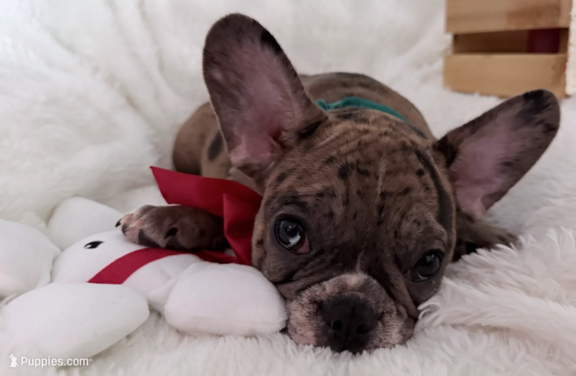 processed/e1d9f656-1e65-4b98-a687-2513c80929d0/listing/85c13012-f80e-406d-a3bc-5b11fcb1322f/96875776-e440-40d5-a67d-12573495c84f