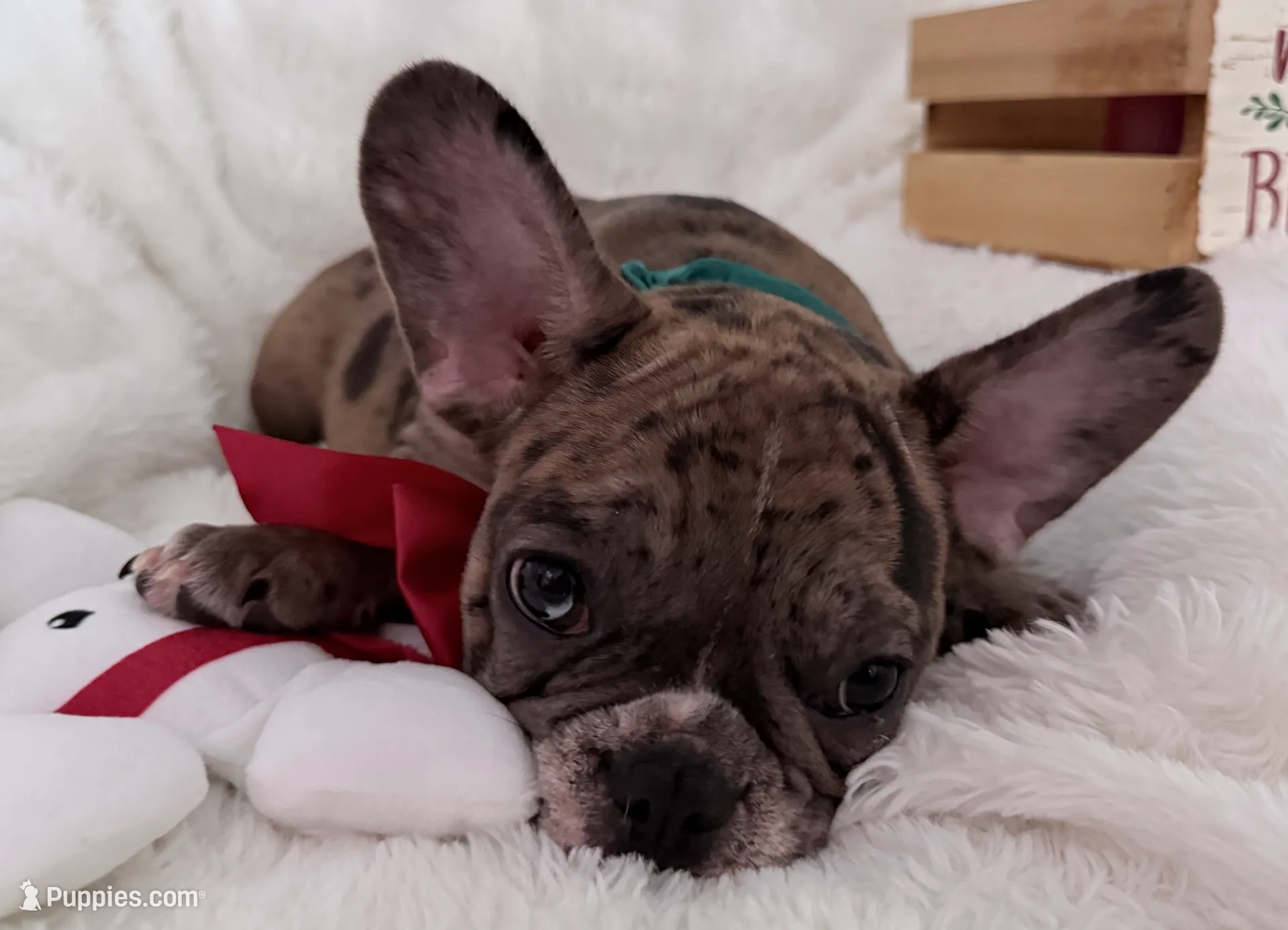 processed/e1d9f656-1e65-4b98-a687-2513c80929d0/listing/85c13012-f80e-406d-a3bc-5b11fcb1322f/ad772a4d-6084-4bbb-a51b-7f169c330386