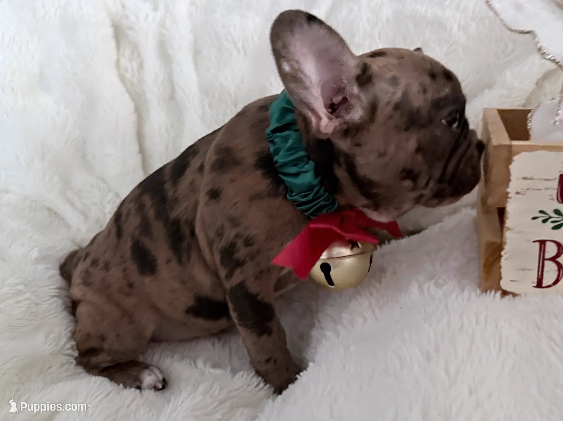 processed/e1d9f656-1e65-4b98-a687-2513c80929d0/listing/85c13012-f80e-406d-a3bc-5b11fcb1322f/d8e900b3-3470-4fe4-a7cb-3510610b5d37