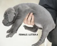 processed/e1e3f1f7-9029-4b9e-a5b6-555afb61b2e0/listing/35ebcb29-0935-4a69-9564-ded0c863ce35/3ebbeab5-9aaf-4092-ad13-153e6b1729ab