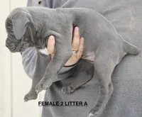 processed/e1e3f1f7-9029-4b9e-a5b6-555afb61b2e0/listing/7ade2618-0fd7-41ec-8c23-3b2736e27476/be2fa14d-68eb-4283-88ec-8e1b95c9d528