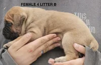 processed/e1e3f1f7-9029-4b9e-a5b6-555afb61b2e0/listing/cc33b44d-39b9-41b3-bdb4-ceb61cac7c0c/b015d6a9-0f35-48a9-be12-b1d8cc6de454