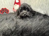 processed/e1eb33b4-003e-4a8e-bf1b-32beb59b2663/listing/023b303b-e68f-497e-a941-0e7368927cbf/0d9f691a-22eb-41a5-9a85-e64e5eeae0a9